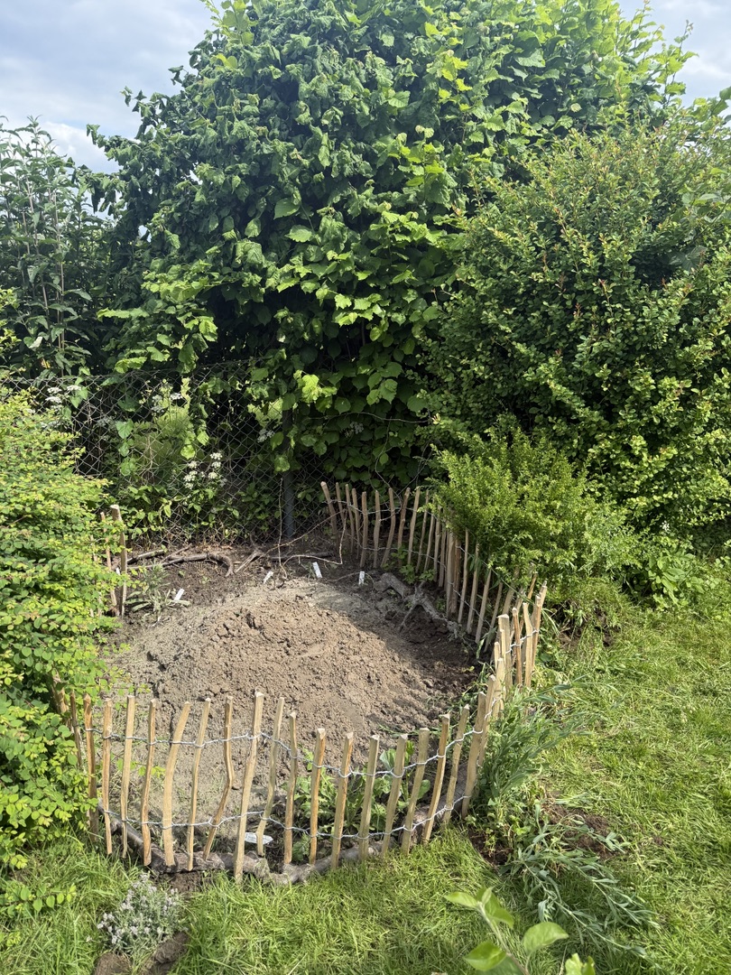 Sandarium im KGV Friederika – Ein Zuhause für Erdinsekten 🐝